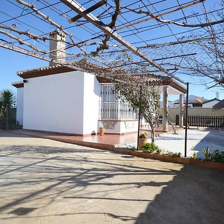 Chalet Con Piscina Privada En Conil Conil De La Frontera Eksteriør billede