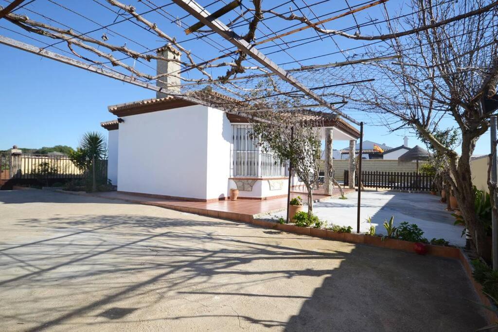 Chalet Con Piscina Privada En Conil Conil De La Frontera Eksteriør billede